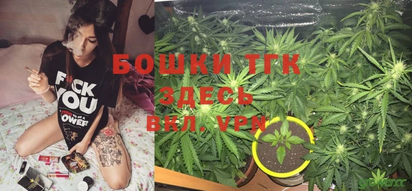 мяу мяу мука Аркадак