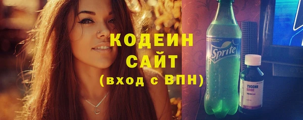 индика Армянск