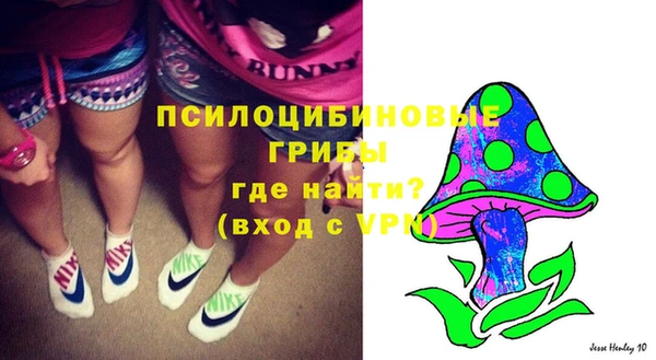 индика Армянск