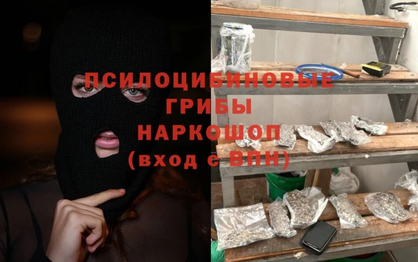 индика Армянск