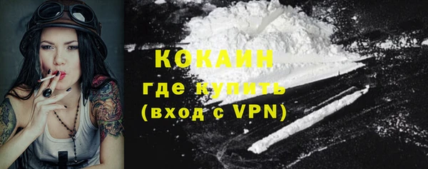 мяу мяу мука Аркадак